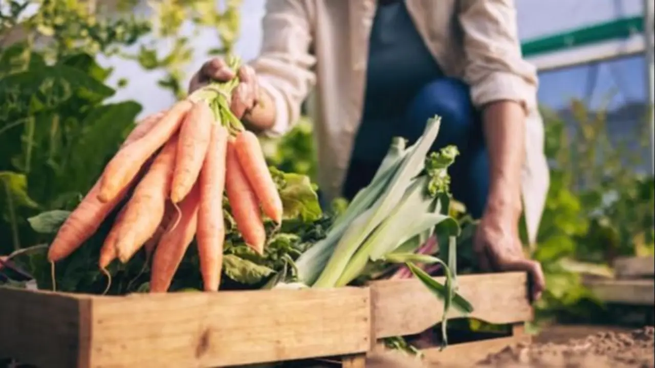 huerta.