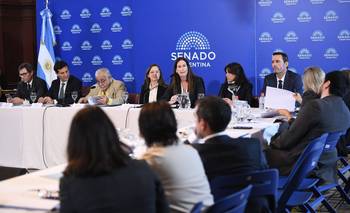 Con nombres "made in casta", LLA alista una batería de pliegos para la Justicia | Congreso
