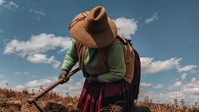 Trabajadores rurales Trabajadores rurales