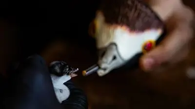 Lo descubrieron hace 52 años en Argentina y hoy está en peligro de extinción: el animal "más joven" que corre riesgos Lo descubrieron hace 52 años en Argentina y hoy está en peligro de extinción: el animal "más joven" que corre riesgos