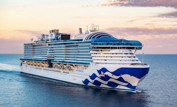 Otro crucero del terror: un brote de norovirus afecta a más de 100 personas en el Caribe   | Norovirus