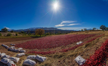La ruta del pimentón: el rincón salteño que se tiñe de rojo cada otoño | Escapadas