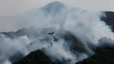 Los incendios a nivel mundial alcanzan niveles récord ante olas de calor "sin precedentes" Los incendios a nivel mundial alcanzan niveles récord ante olas de calor "sin precedentes"