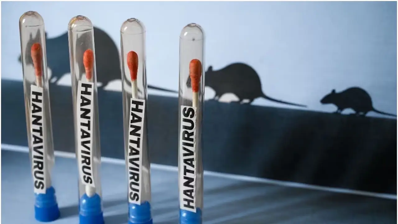 De Nueva York a Buenos Aires: el nuevo laboratorio que busca acorralar al hantavirus