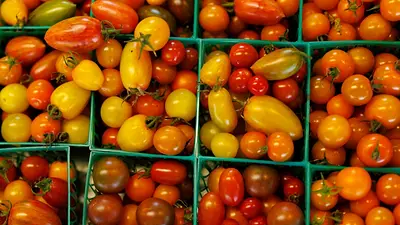 Precios al productor de EEUU registran mayor alza en cuatro años en abril Precios al productor de EEUU registran mayor alza en cuatro años en abril