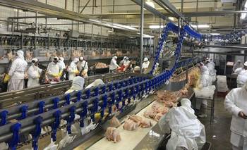 Granja Tres Arroyos paraliza sus plantas en agosto mientras se agrava la crisis salarial | Recesión