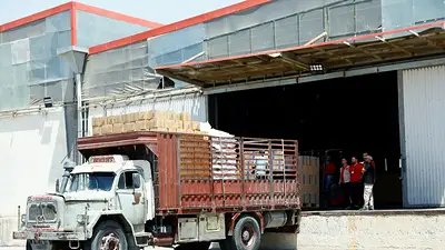 Agencia alimentaria ONU reduce ayuda alimentaria a Siria y suspende subvenciones al pan por falta de fondos Agencia alimentaria ONU reduce ayuda alimentaria a Siria y suspende subvenciones al pan por falta de fondos