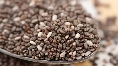 Alimentos Alimentos