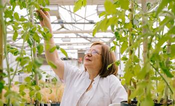 Una argentina vuelve a ganar el Premio L'Oréal-Unesco Internacional a científicas | Por américa latina y el caribe