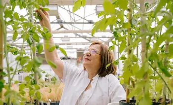 Una argentina vuelve a ganar el Premio L'Oréal-Unesco Internacional a científicas | Por américa latina y el caribe