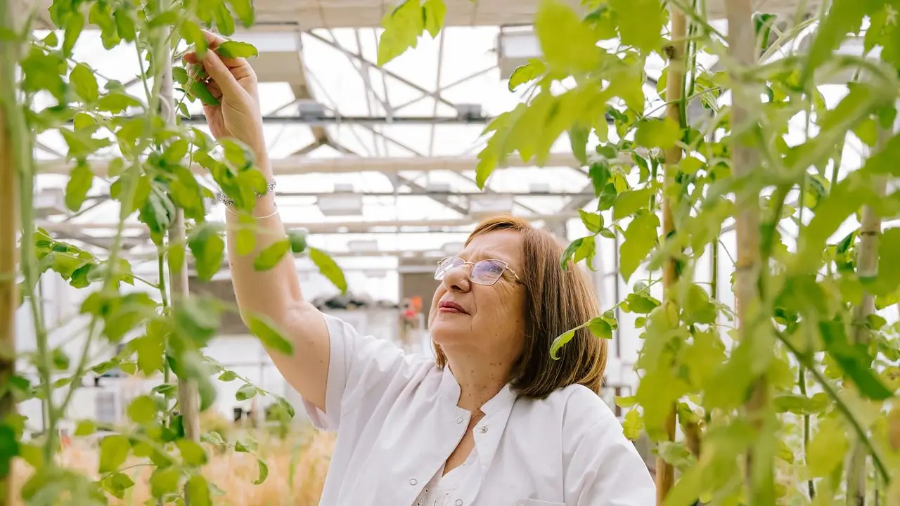 Raquel Chan: una argentina vuelve a ganar el Premio L'Oréal-Unesco Internacional "Por las mujeres en la ciencia"