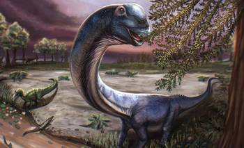 Hallaron una nueva especie de dinosaurio, es el más grande jamás descubierto | Ciencia 