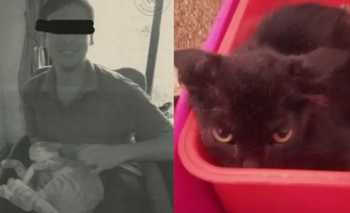 Recoleta: así actuaba el "asesino de gatitos" para adoptar y matar | Animales