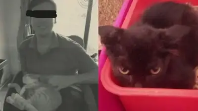 Así engañaba a rescatistas el "asesino de gatitos" de Recoleta para adoptar y matar: las denuncias en su contra Así engañaba a rescatistas el "asesino de gatitos" de Recoleta para adoptar y matar: las denuncias en su contra