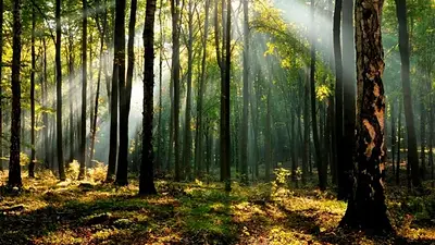 Así es la aldea "hippie-chic" argentina que prohíbe el ruido, ¿dónde queda? Así es la aldea "hippie-chic" argentina que prohíbe el ruido, ¿dónde queda?