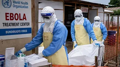 Alerta mundial: los motivos de la OMS para declarar la emergencia internacional por un brote de Ébola Alerta mundial: los motivos de la OMS para declarar la emergencia internacional por un brote de Ébola