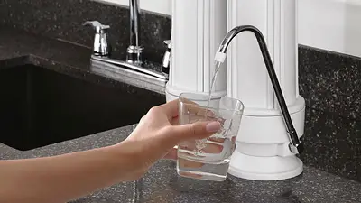 ANMAT prohibió más de cinco marcas de filtros de agua por falta de registro y encendió las alertas ANMAT prohibió más de cinco marcas de filtros de agua por falta de registro y encendió las alertas