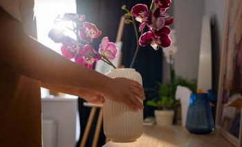 El truco para prolongar la frescura de las flores en otoño | Jardinería