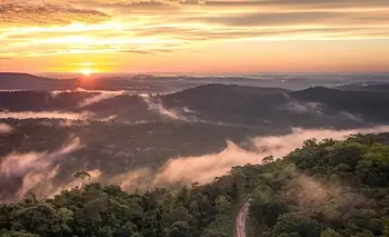 Alerta Misiones: la cara más extrema de la extranjerización de la tierra | Ley de tierras