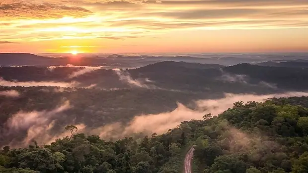 Alerta Misiones: la cara más extrema de la extranjerización de la tierra | Ley de tierras