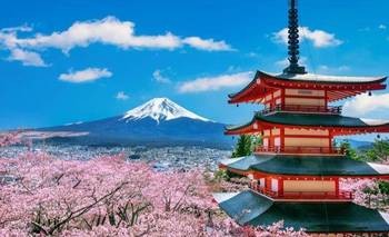 Récord histórico: más de 33 mil argentinos viajaron a Japón en 2025 | Viajes