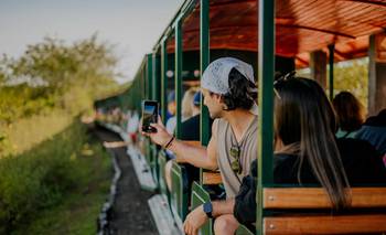 ¿Cómo es y dónde queda el tren eléctrico que se sumerge en la selva argentina? | Escapadas