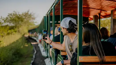 ¿Cómo es y dónde queda el tren eléctrico que se sumerge en la selva argentina? ¿Cómo es y dónde queda el tren eléctrico que se sumerge en la selva argentina?