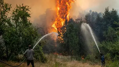 Ajuste a Parques Nacionales: se quemaron más de 60 mil hectáreas en la Patagonia durante la última temporada Ajuste a Parques Nacionales: se quemaron más de 60 mil hectáreas en la Patagonia durante la última temporada