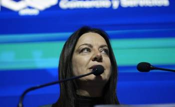 La oposición puso bajo la lupa al "Gemelo Digital" de Pettovello y ya pidió informes  | Congreso