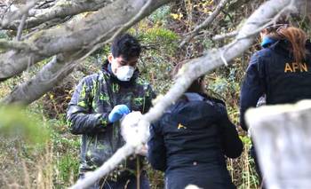Alerta por hantavirus: incertidumbre tras el operativo del Malbrán en Ushuaia | Hantavirus