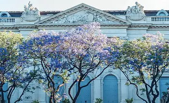 Buenos Aires en Flor: el libro que propone levantar la vista y redescubrir la Ciudad | Libros