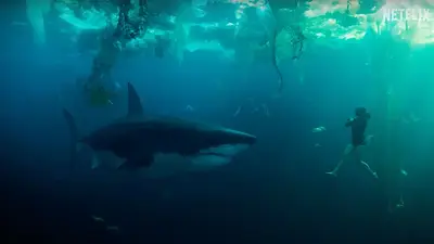 Dura menos de 2 horas y es la película de tiburones más vista de la historia de Netflix Dura menos de 2 horas y es la película de tiburones más vista de la historia de Netflix
