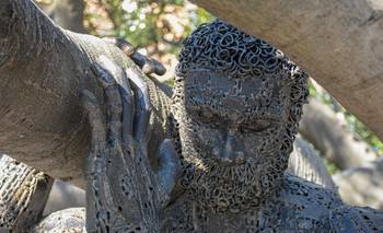 Gomero de la Recoleta: el árbol más longevo de la Ciudad | Ciudad de buenos aires