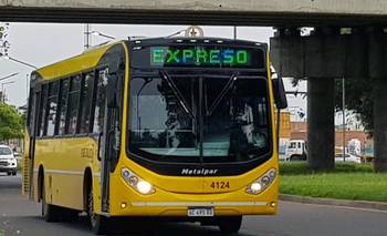 Transporte interurbano en Santa Fe: caída de pasajeros y el boleto por las nubes | Transporte público