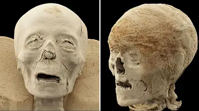 Escanearon momias egipcias de hace 2300 años y lo que encontraron en su interior sorprendió Escanearon momias egipcias de hace 2300 años y lo que encontraron en su interior sorprendió