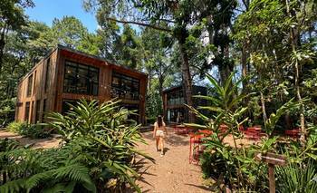 Es como viajar a un bosque de cuento, pero queda en Buenos Aires | Turismo