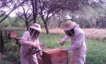 Productores apícolas de la provincia reciben formación técnica en terreno | Apicultura