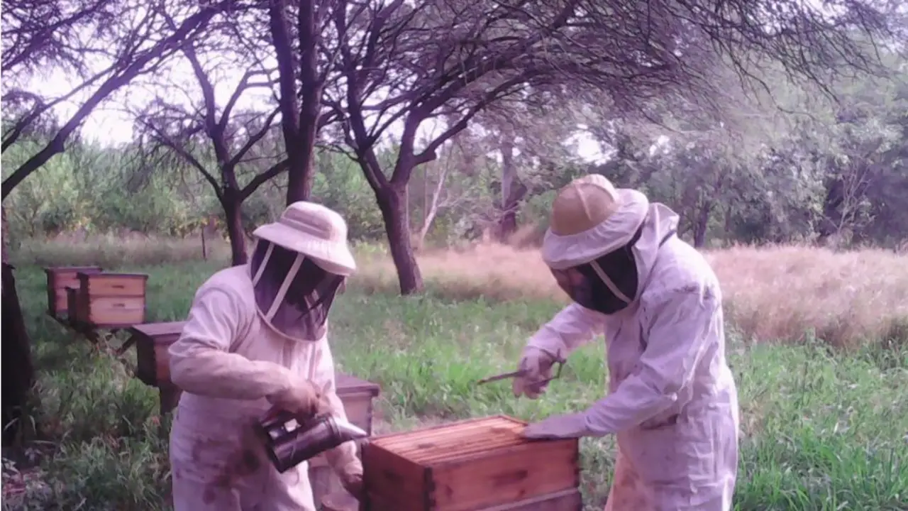 Con foco en la producción sustentable, apicultores de Formosa reciben formación técnica en terreno