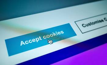 El costo oculto de rechazar cookies: cuánto pierden las empresas | Internet