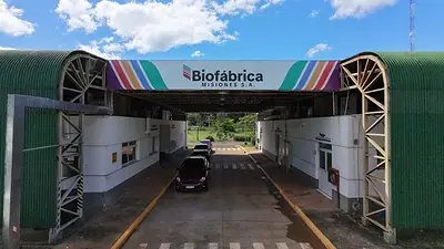 Biofábrica Misiones: la apuesta biotecnológica provincial que ya genera ganancias y fortalece la producción local Biofábrica Misiones: la apuesta biotecnológica provincial que ya genera ganancias y fortalece la producción local