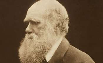 Charles Darwin, naturalista: "No es la especie más fuerte la que sobrevive" | Frases