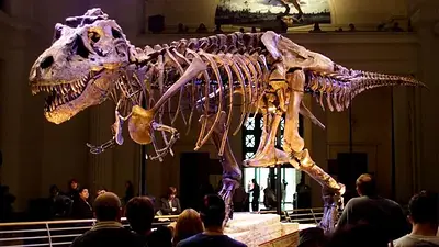 Dinosaurios Dinosaurios