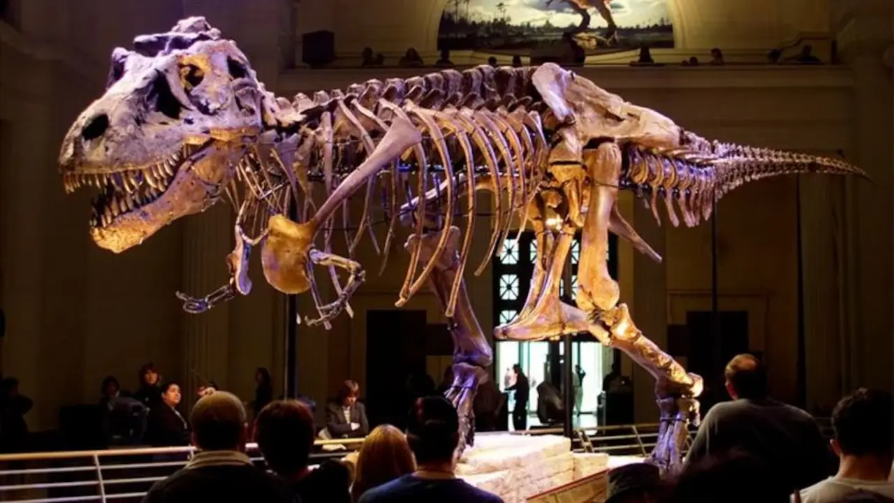 Dinosaurios