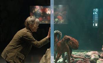 Es un famoso libro, está protagonizada por un pulpo y llegó a Netflix en una película | Cine