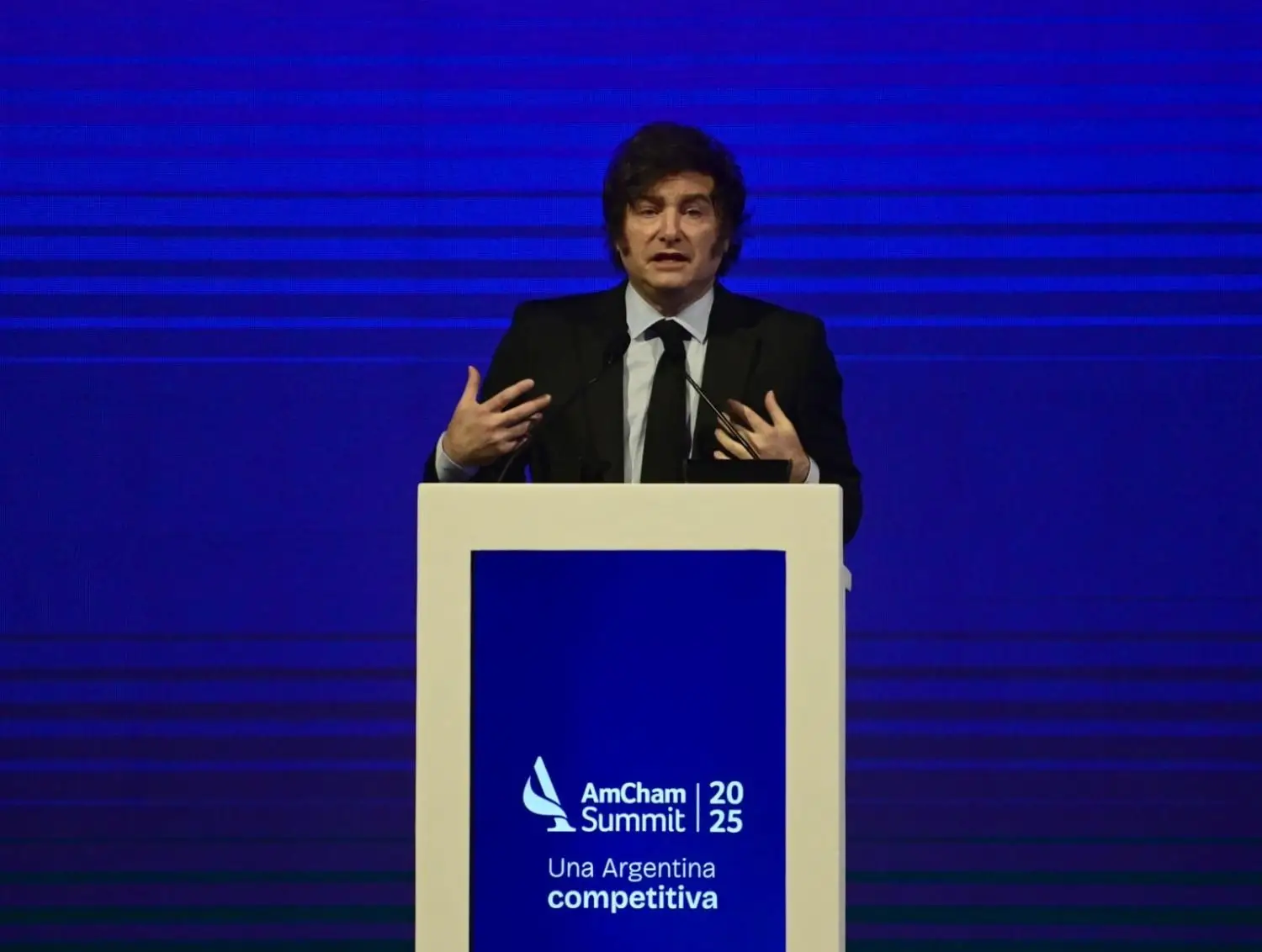 Javier Milei Superávits gemelos