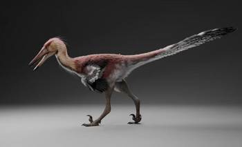 Descubren un nuevo dinosaurio argentino: cómo es la especie que identificó el Conicet | Dinosaurios
