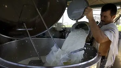 Sociedad Rural denunció que el aumento de la leche no se trasladó a tamberos Sociedad Rural denunció que el aumento de la leche no se trasladó a tamberos