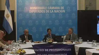 Desde la AGN defendieron la gestión de Aerolíneas Argentinas Desde la AGN defendieron la gestión de Aerolíneas Argentinas