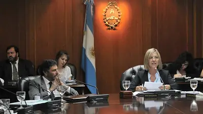 La presidenta de la Magistratura aclaró que Cabral "no cumple con las leyes" La presidenta de la Magistratura aclaró que Cabral "no cumple con las leyes"