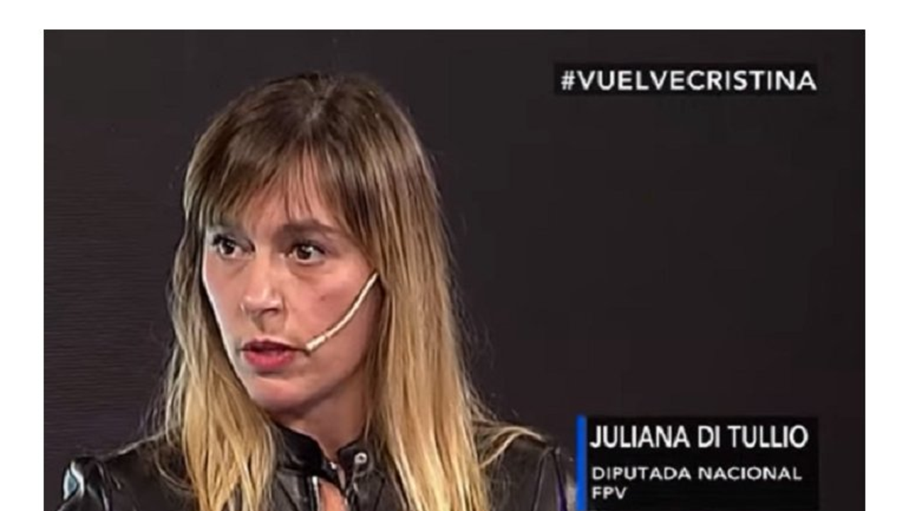 Juliana Di Tullio: "el proyecto es una autoamnistía de la fuga de divisas"